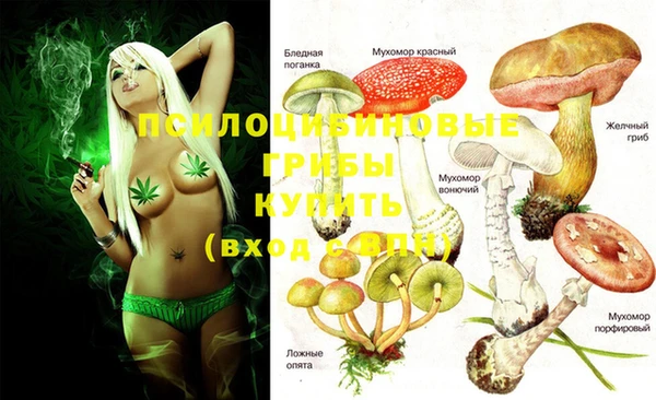 PSILOCYBIN Верея