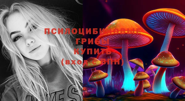 кокаин премиум Бородино
