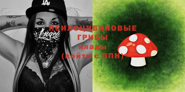 PSILOCYBIN Верея