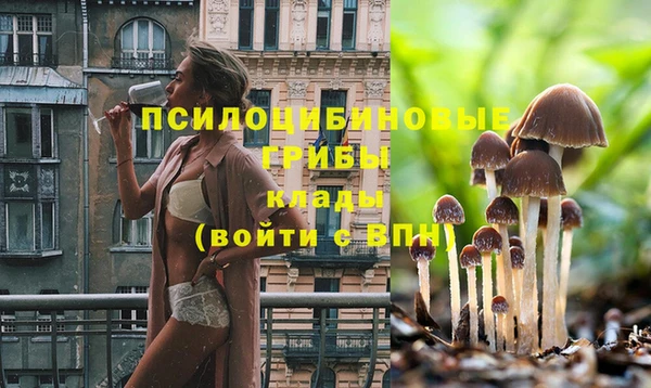 соль ск Верхний Тагил